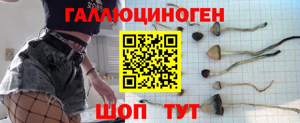 Партизанск  Галлюциногенные грибы GOLDEN TEACHER  Вход с VPN 